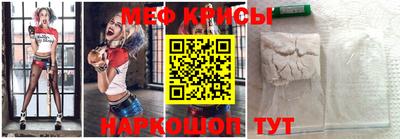 спайс Кингисепп