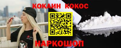 спайс Кингисепп