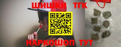 спайс Кингисепп