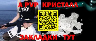 спайс Кингисепп