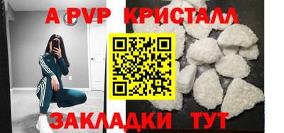 спайс Кингисепп