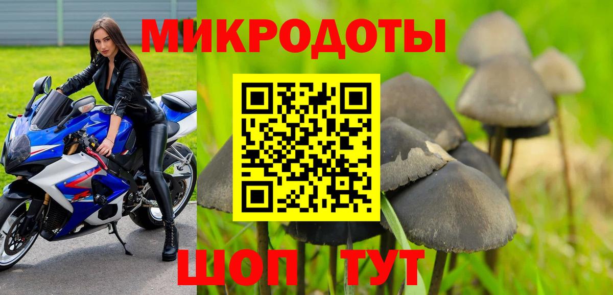 Галлюциногенные грибы Psilocybe Клин