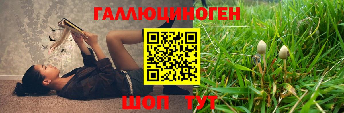 Псилоцибиновые грибы Magic Shrooms  Вход с VPN  Клин 